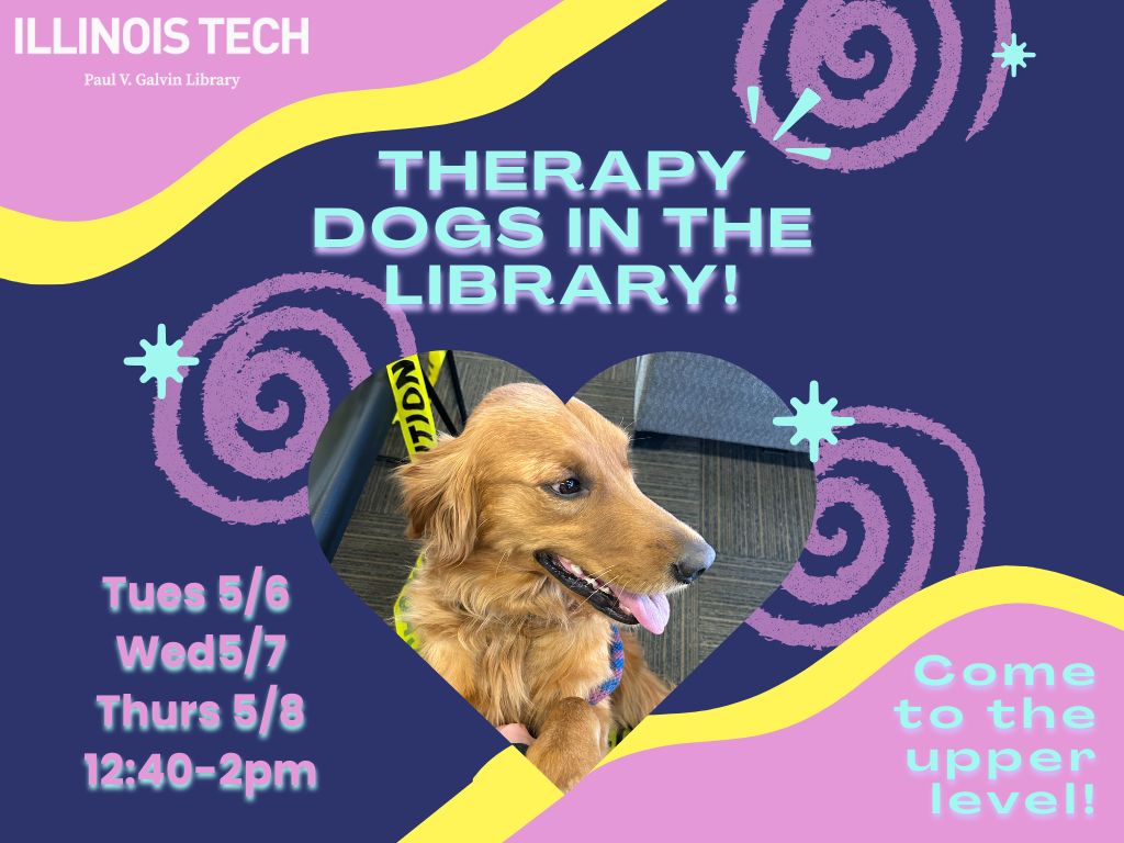 therapy dogs